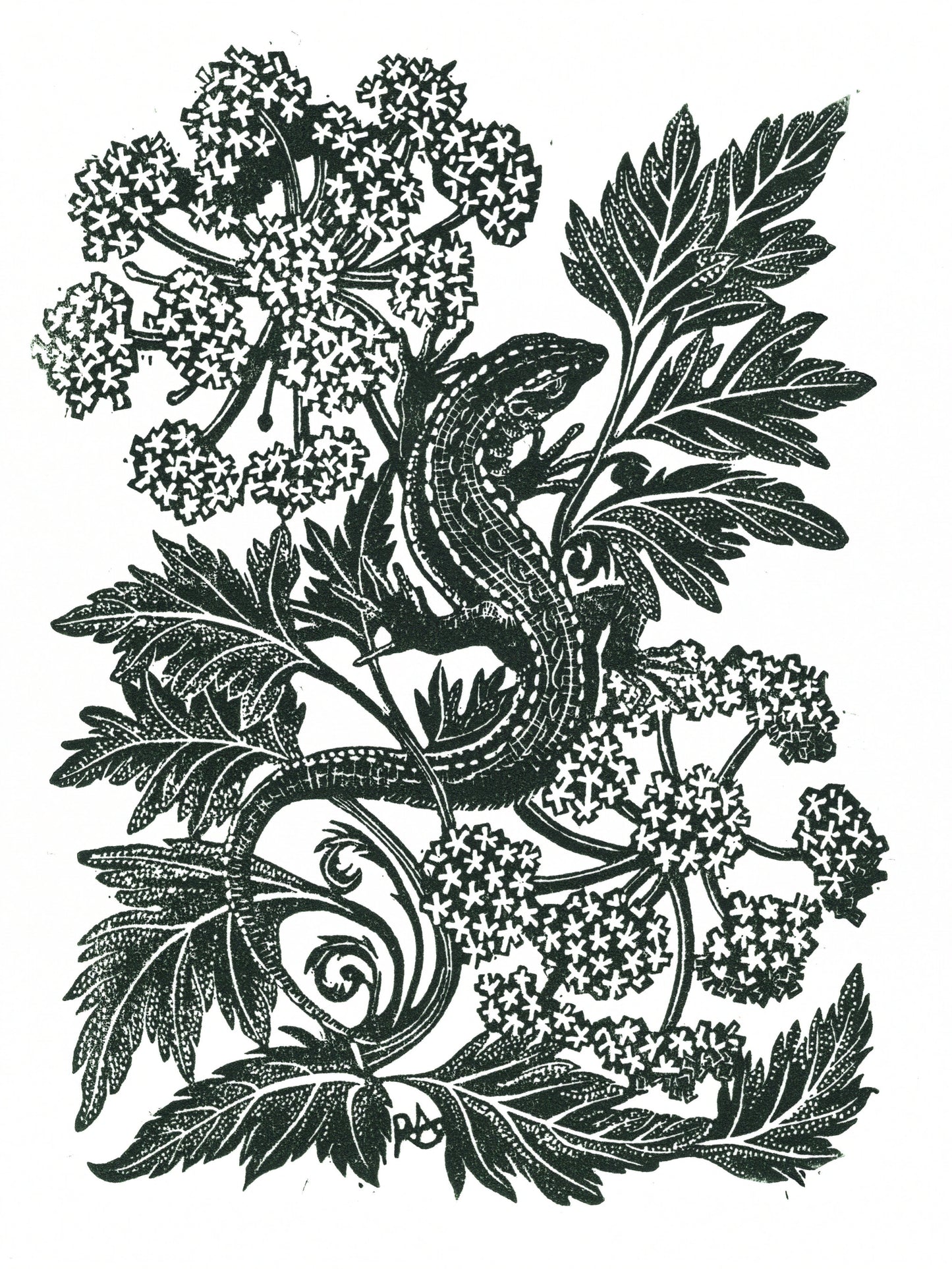 Lounging Lizard In Hemlock - Linocut Art Print