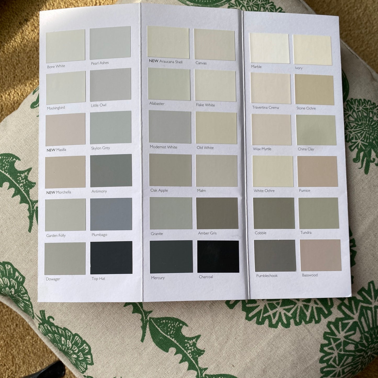 Dandelion Clocks, Natural Linen & Green Floral Stripe Cushion Cover